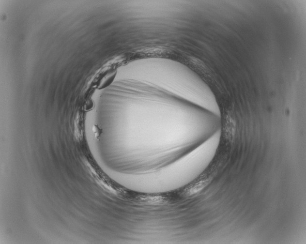 X0000052630428200507292245