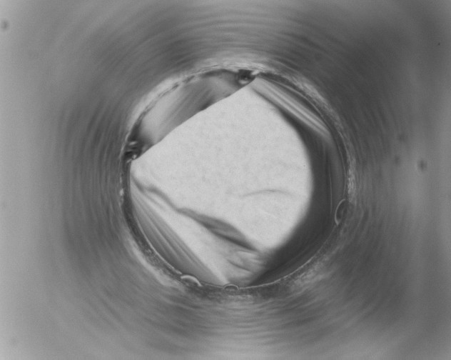 X0000052630438200507292244