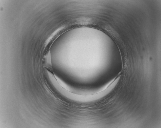 X0000052630440200507292244