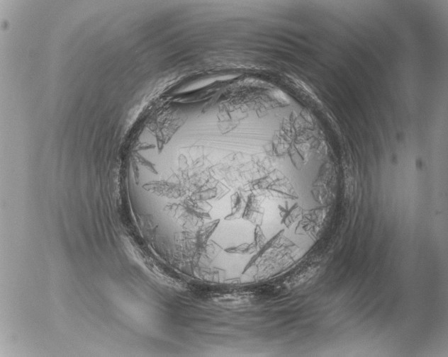 X0000052630447200507292244