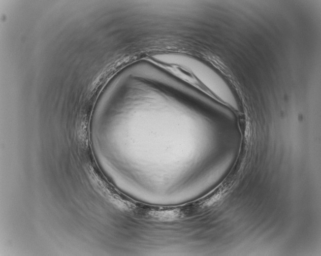 X0000052630449200507292244