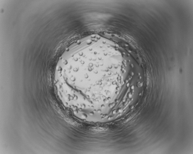 X0000052630453200507292244