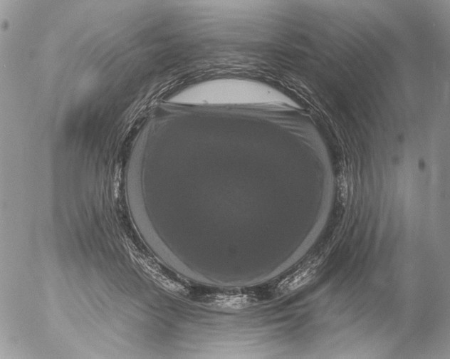 X0000052630458200507292244