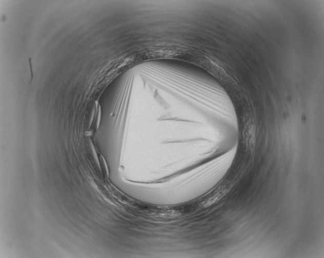 X0000052630459200507292244