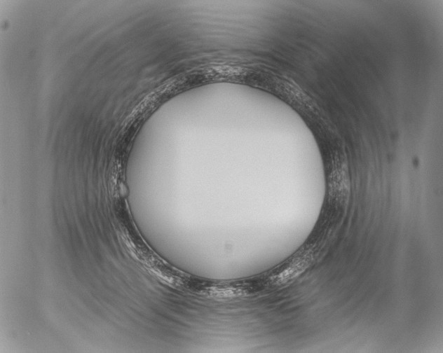 X0000052630464200507292244