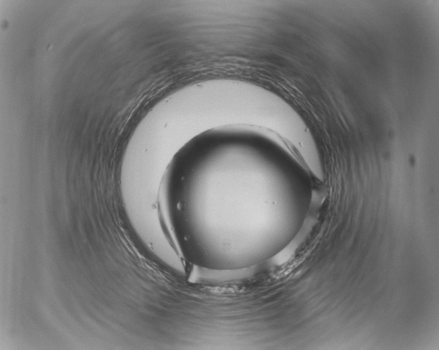 X0000052630466200507292244
