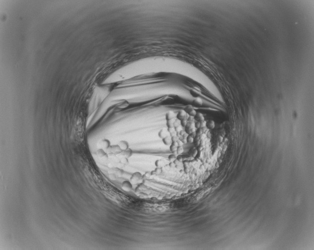 X0000052630469200507292244