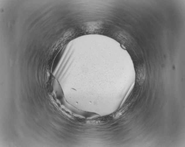 X0000052630470200507292244