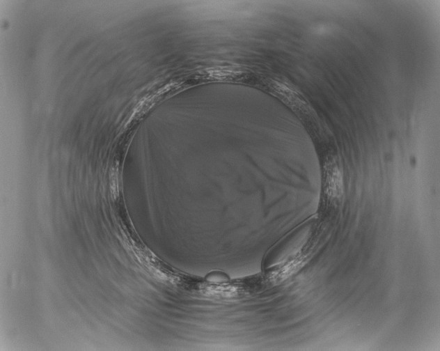 X0000052630471200507292244