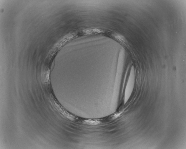X0000052630477200507292244