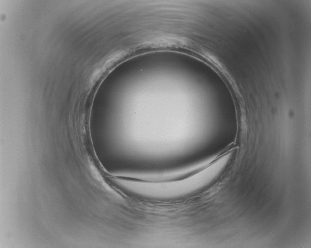 X0000052630485200507292244