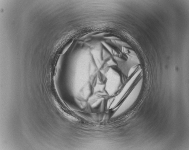 X0000052630493200507292244
