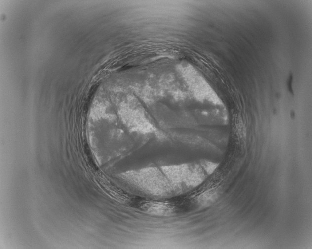 X0000052630507200507292243