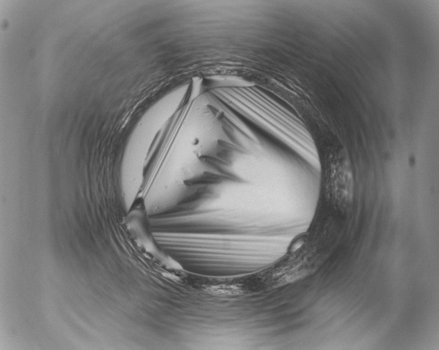 X0000052630508200507292243
