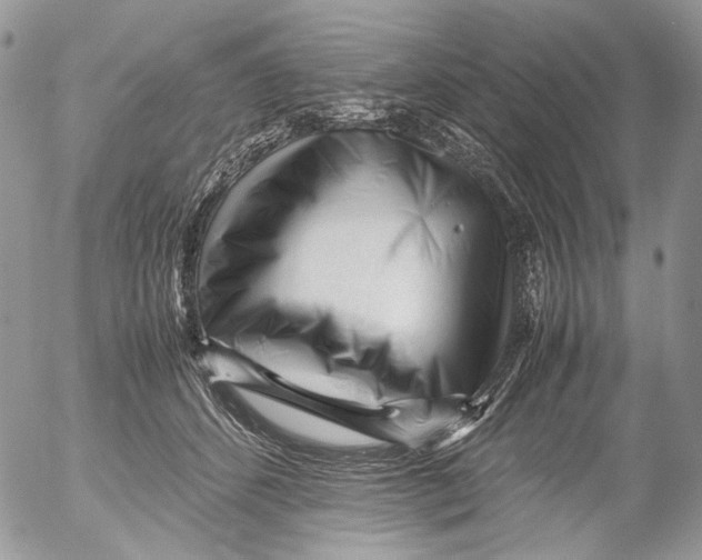 X0000052630512200507292243