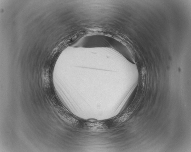 X0000052630516200507292243