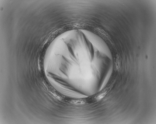 X0000052630520200507292243