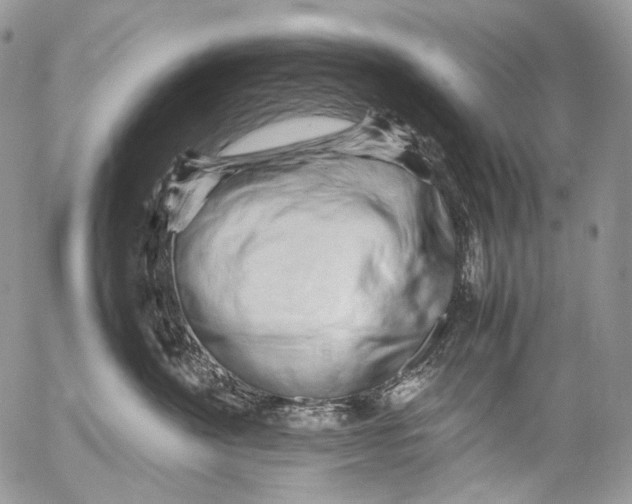 X0000052630524200507292243