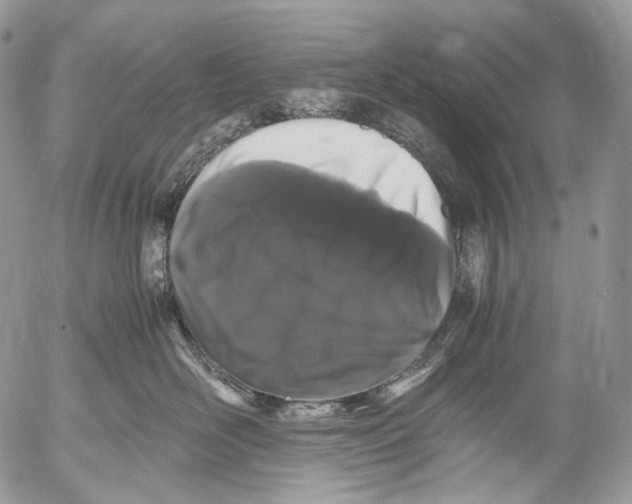 X0000052630526200507292243