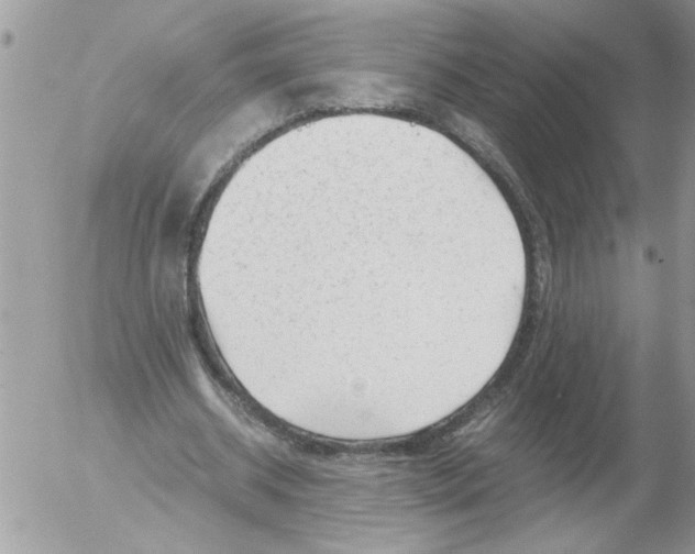 X0000052630534200507292242