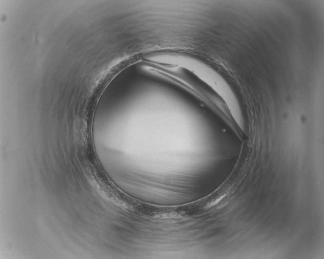 X0000052630540200507292242