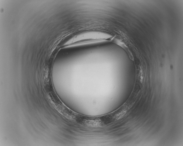 X0000052630548200507292242