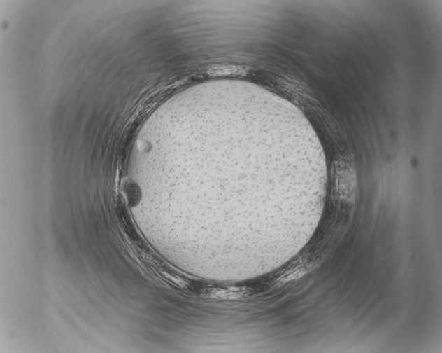 X0000052630550200507292243