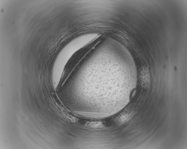 X0000052630554200507292243