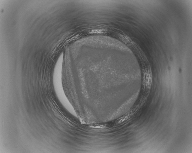 X0000052630557200507292243