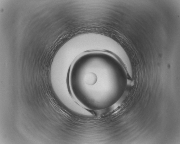 X0000052630558200507292243