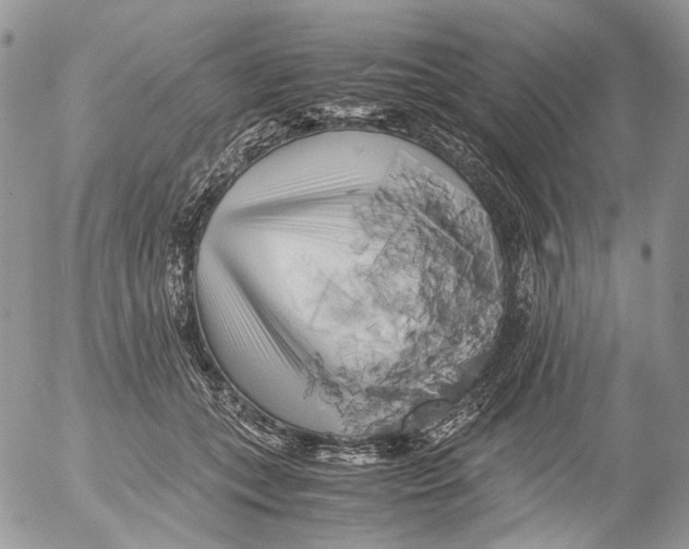 X0000052630559200507292243