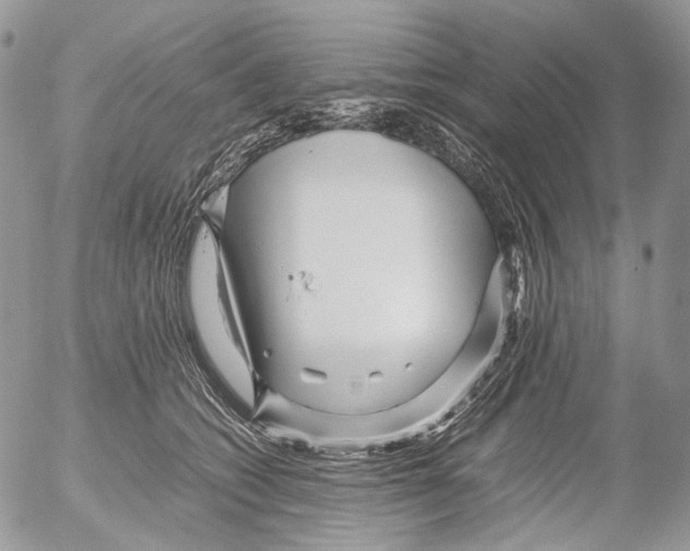 X0000052630562200507292243