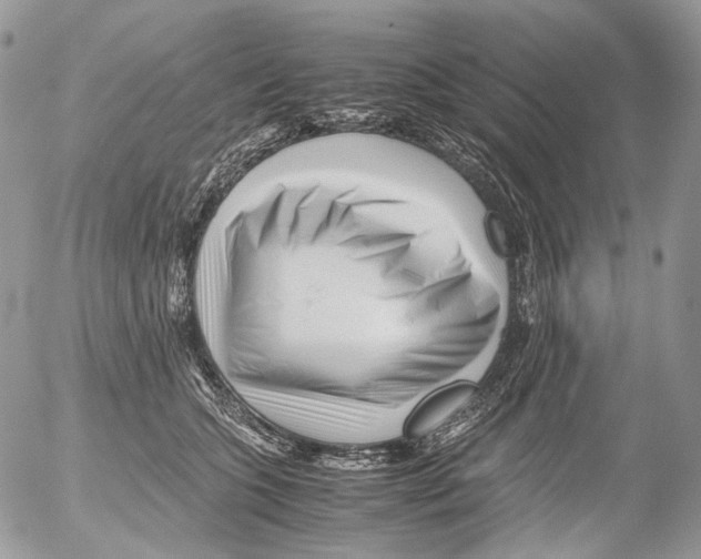 X0000052630563200507292243
