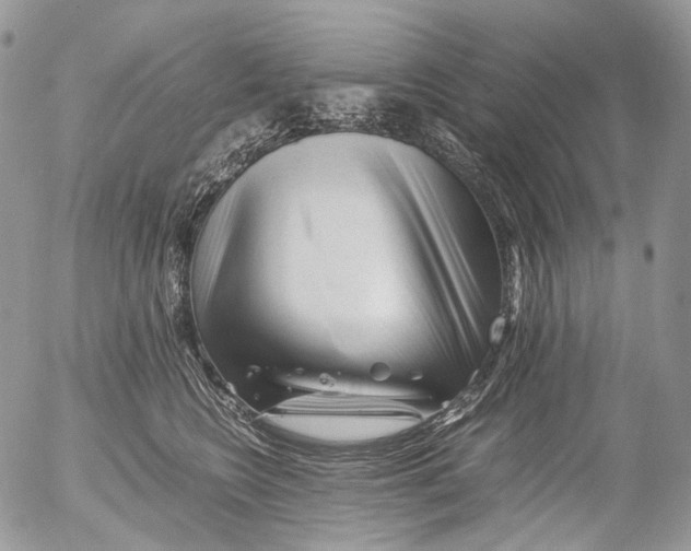 X0000052630566200507292243