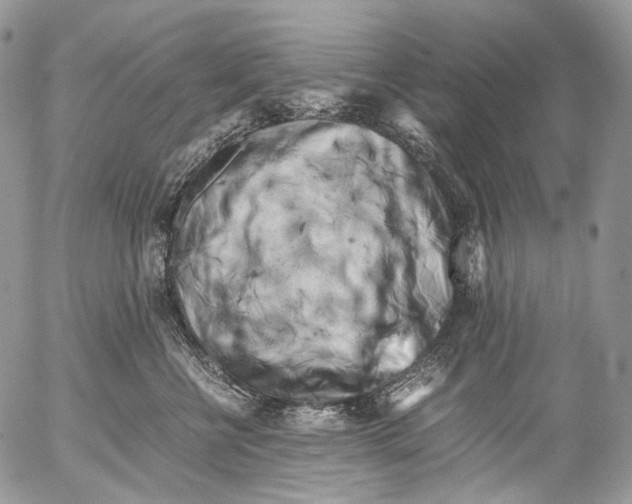X0000052630570200507292243