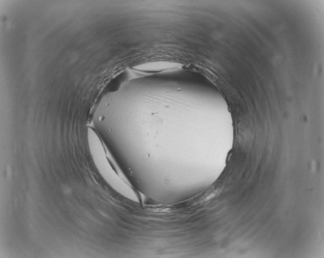 X0000052630575200507292243