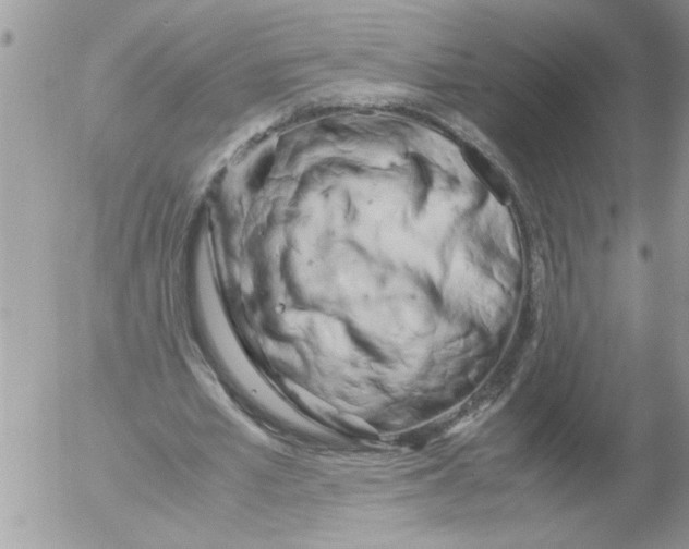 X0000052630581200507292242