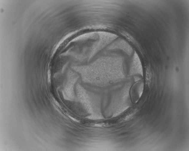X0000052630584200507292242