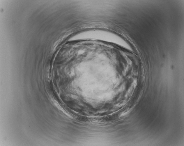 X0000052630585200507292242