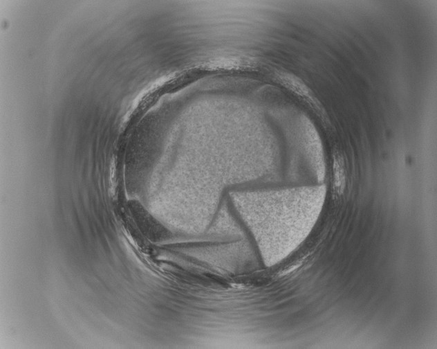 X0000052630588200507292242