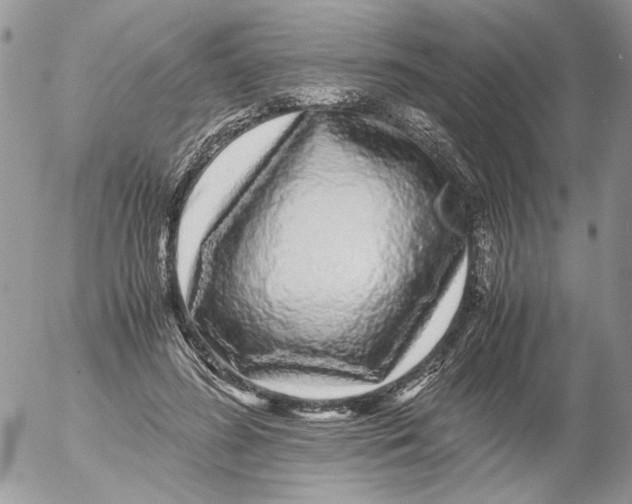 X0000052630596200507292242