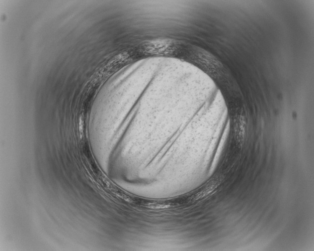 X0000052630602200507292242