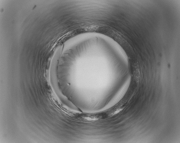 X0000052630604200507292242