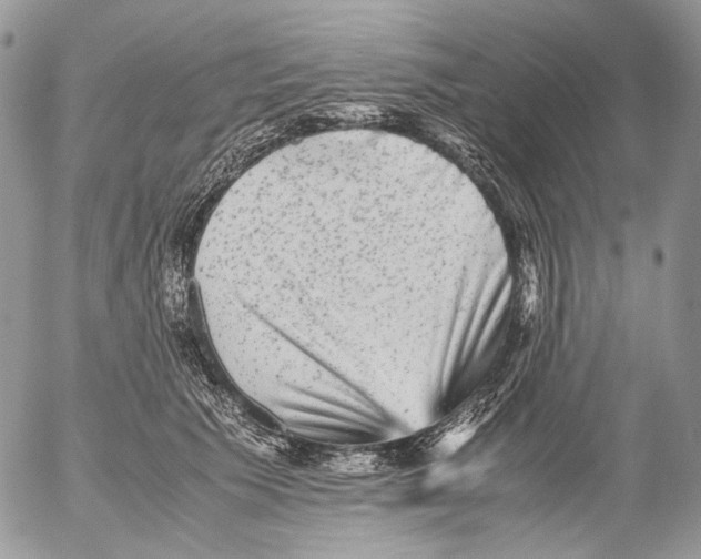 X0000052630609200507292242