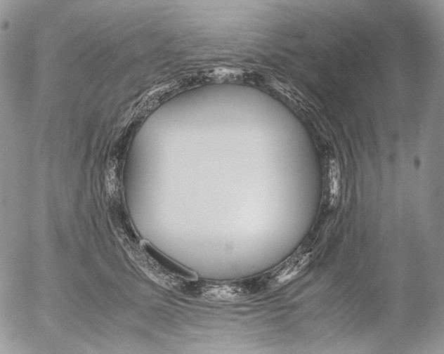 X0000052630611200507292242