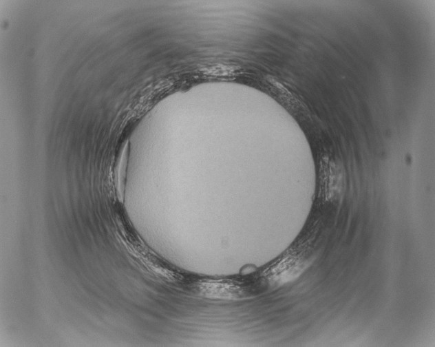 X0000052630614200507292242
