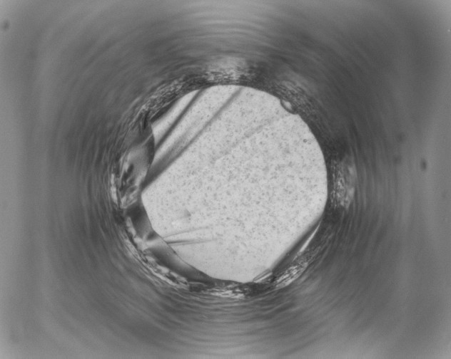 X0000052630616200507292242