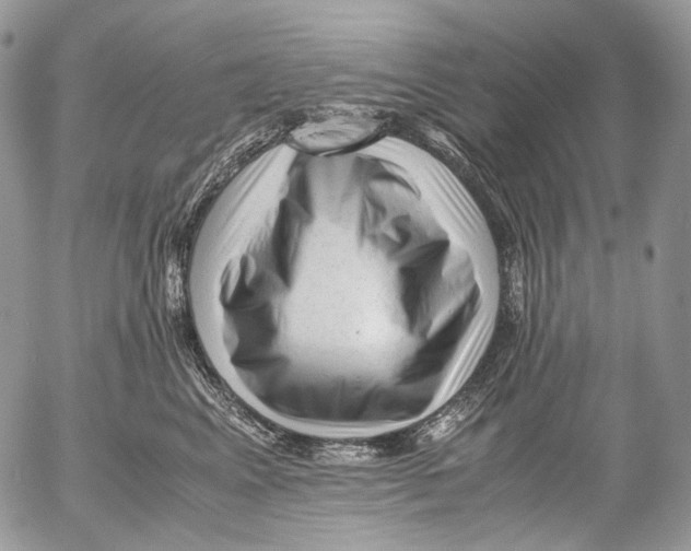 X0000052630617200507292242