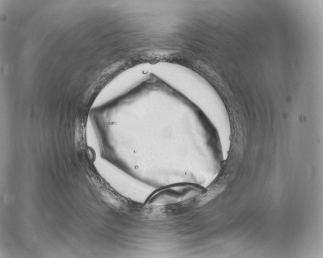 X0000052630624200507292241