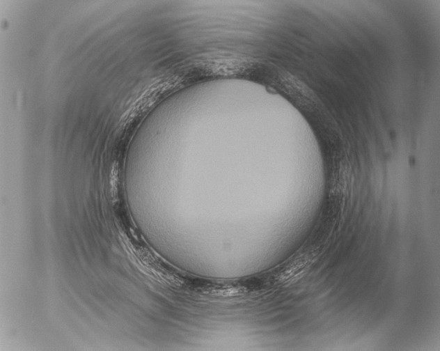 X0000052630646200507292241